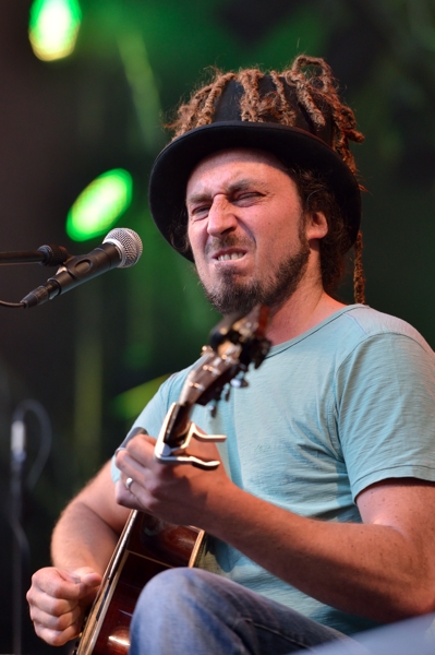 Wille and the Bandits 2015